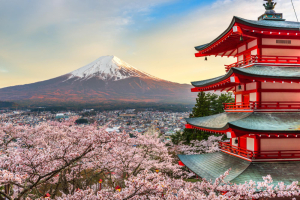 3 Day Tour To Kyoto Packages